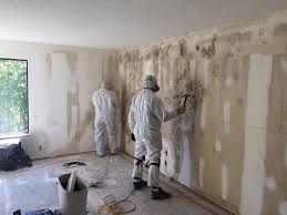 Mold Remediation for Vacation Homes in Morrow, OH